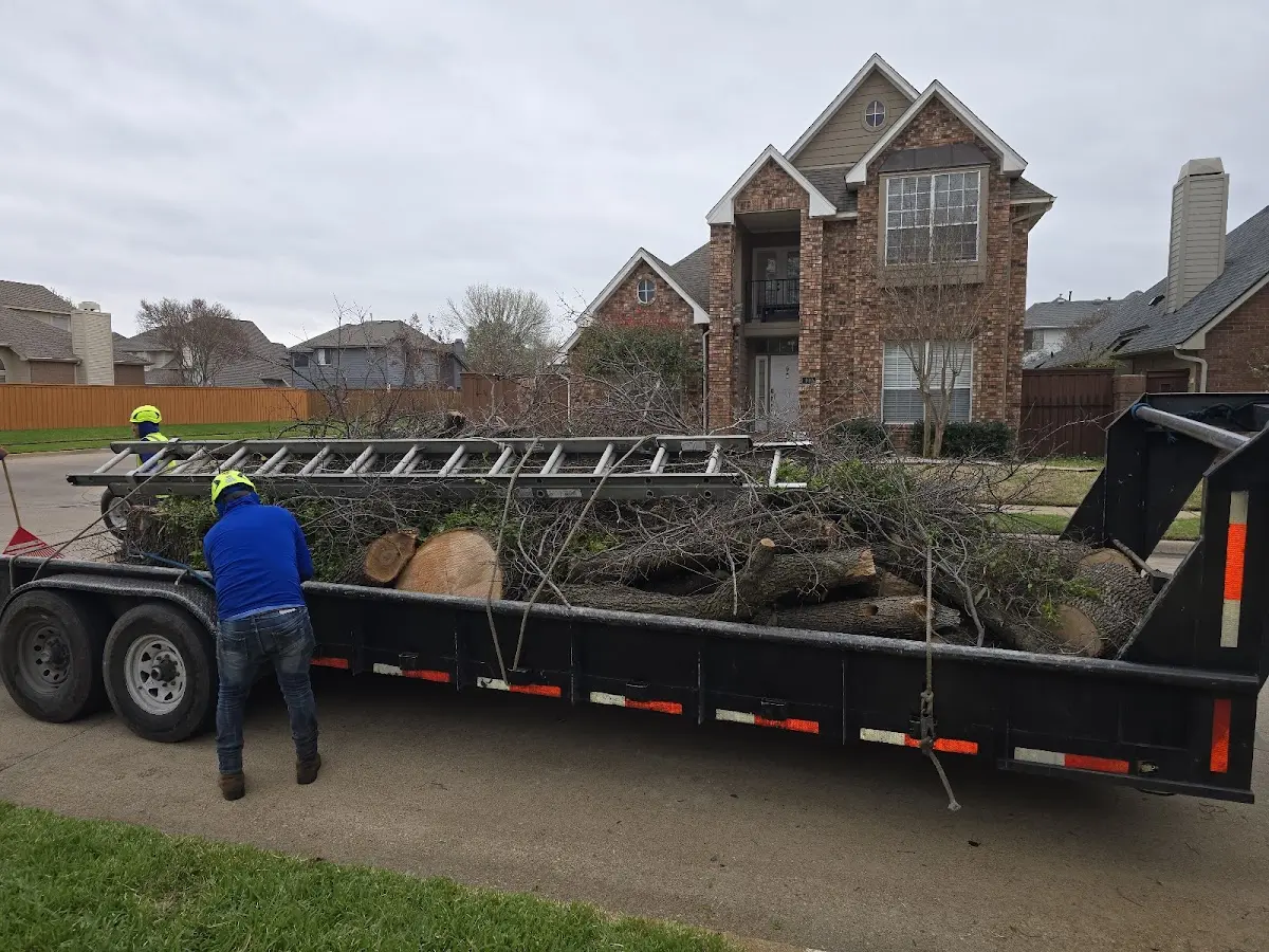 Expert Tree Fertilization with proper safety equipment in Midland